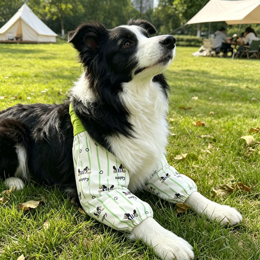 Dog Front Leg Protective Sleeves